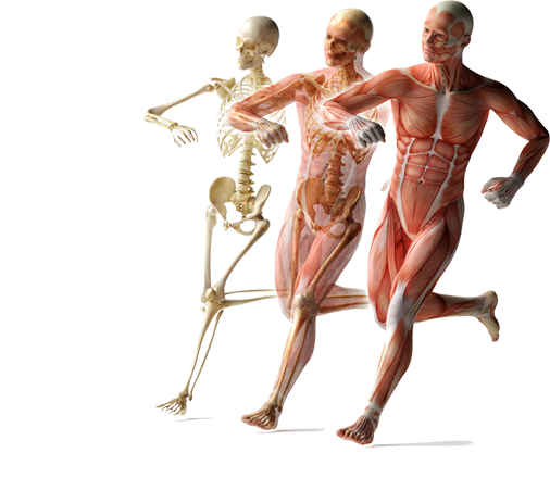 什么是风湿骨病